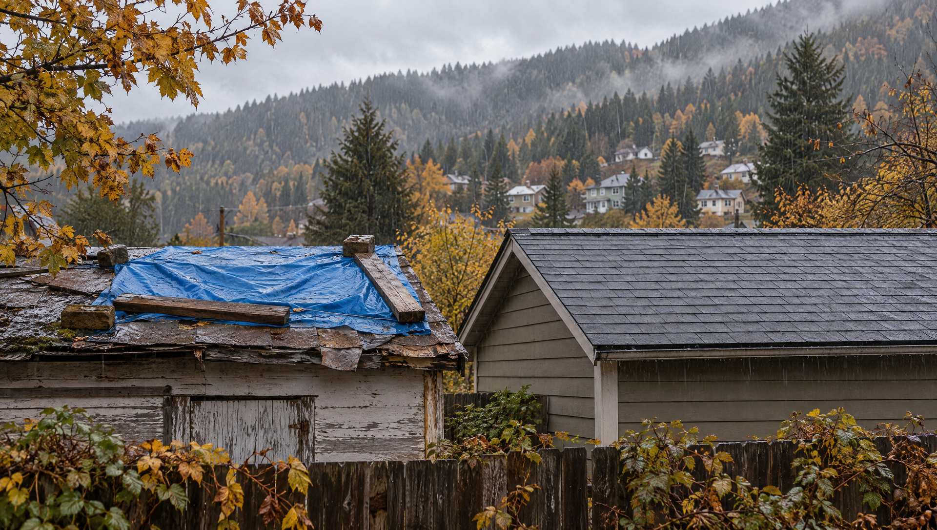 A blue tarp patched over an old shed roof next to a properly shingled roof on a rainy day